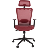 Ergonomic Office Chair OC3